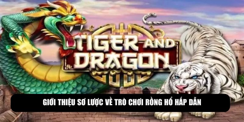 Tìm hiểu cơ bản về trò chơi Rồng hổ