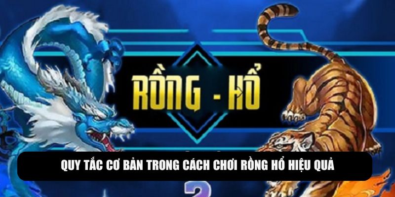 Quy tắc cần nắm trong cách chơi Rồng Hổ